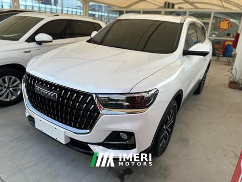 2024 Haval H6 2023 National Trend Edition 1.5T Automatic Urban Version - ავტომობილი ჩინეთიდან