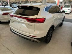 Haval H6 2023 National Trend Edition 1.5T Automatic Urban Version - ფოტო 15