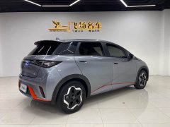 BYD Dolphin 405km Freedom Edition - ფოტო 16