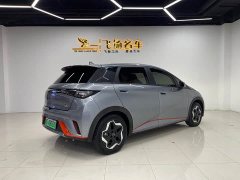 BYD Dolphin 405km Freedom Edition - ფოტო 17