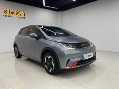 BYD Dolphin 405km Freedom Edition - ფოტო 3