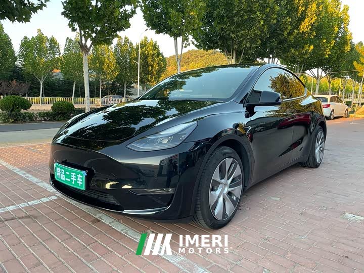 Tesla Model Y Standard Range RWD - ავტომობილი ჩინეთიდან
