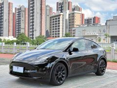 Tesla Model Y Long Range All-Wheel Drive 3D7 - ფოტო 1