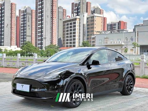 2021 Tesla Model Y Long Range All-Wheel Drive 3D7 - ავტომობილი ჩინეთიდან