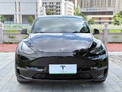 Tesla Model Y Long Range All-Wheel Drive 3D7 - ფოტო 2