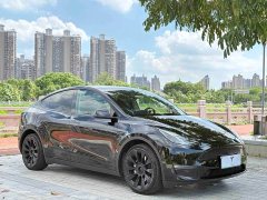 Tesla Model Y Long Range All-Wheel Drive 3D7 - ფოტო 3