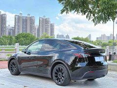 Tesla Model Y Long Range All-Wheel Drive 3D7 - ფოტო 7