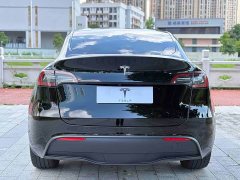 Tesla Model Y Long Range All-Wheel Drive 3D7 - ფოტო 8