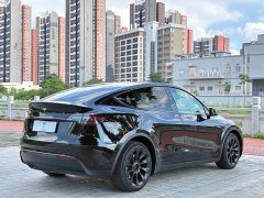 Tesla Model Y Long Range All-Wheel Drive 3D7 - ფოტო 9
