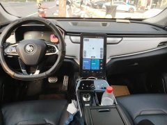 Weltmeister WM EX5 2020 EX5-Z Nex Explorer Edition - ფოტო 12