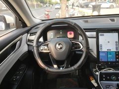 Weltmeister WM EX5 2020 EX5-Z Nex Explorer Edition - ფოტო 15