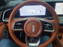 Great Wall WEY Blue Mountain Four-Wheel Drive Extended Range Version - ფოტო 7