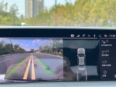 BMW 7 Series 730Li Luxury Package - ფოტო 13