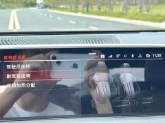 BMW 7 Series 730Li Luxury Package - ფოტო 15