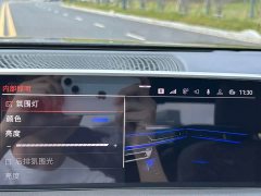 BMW 7 Series 730Li Luxury Package - ფოტო 16