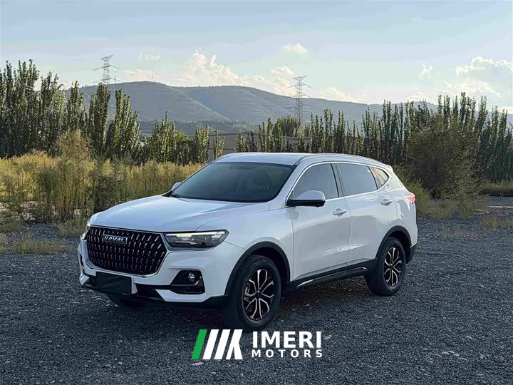Haval H6 National Trend Edition 1.5T Automatic Urban Version - ავტომობილი ჩინეთიდან
