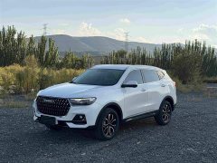 Haval H6 National Trend Edition 1.5T Automatic Urban Version - ფოტო 1
