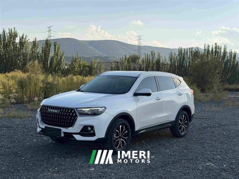 2023 Haval H6 National Trend Edition 1.5T Automatic Urban Version - ავტომობილი ჩინეთიდან
