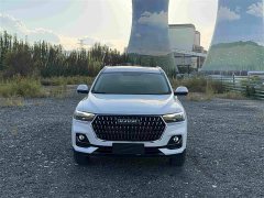 Haval H6 National Trend Edition 1.5T Automatic Urban Version - ფოტო 2
