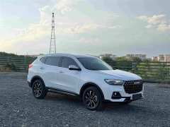 Haval H6 National Trend Edition 1.5T Automatic Urban Version - ფოტო 3