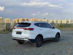 Haval H6 National Trend Edition 1.5T Automatic Urban Version - ფოტო 4
