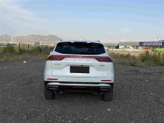 Haval H6 National Trend Edition 1.5T Automatic Urban Version - ფოტო 5