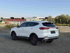 Haval H6 National Trend Edition 1.5T Automatic Urban Version - ფოტო 6