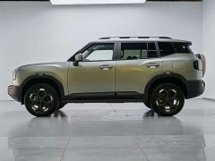 Jetour Jietu Liberator 2.0TD XWD Conquest - ფოტო 10