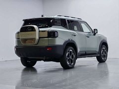 Jetour Jietu Liberator 2.0TD XWD Conquest - ფოტო 16