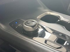 Lexus RZ 450e AWD Luxury Edition - ფოტო 10