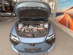 Lexus RZ 450e AWD Luxury Edition - ფოტო 7