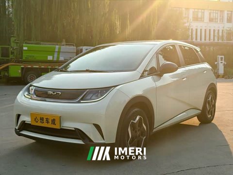 2024 BYD Dolphin 2025 420km Vitality Edition - ავტომობილი ჩინეთიდან
