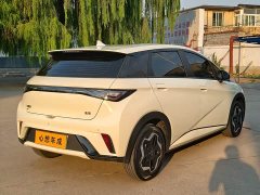 BYD Dolphin 2025 420km Vitality Edition - ფოტო 3