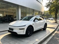 Tesla Model Y Rear-Wheel Drive Launch Edition - ფოტო 1