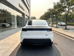 Tesla Model Y Rear-Wheel Drive Launch Edition - ფოტო 8