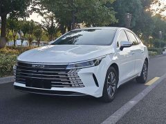 BYD Destroyer 05 Glory Edition DM-i 55KM Prestige - ფოტო 1