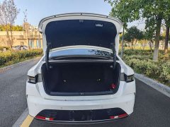 BYD Destroyer 05 Glory Edition DM-i 55KM Prestige - ფოტო 11