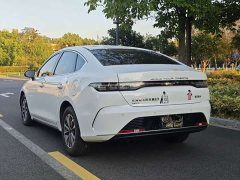 BYD Destroyer 05 Glory Edition DM-i 55KM Prestige - ფოტო 14