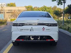BYD Destroyer 05 Glory Edition DM-i 55KM Prestige - ფოტო 15
