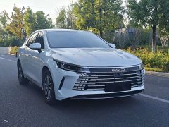 BYD Destroyer 05 Glory Edition DM-i 55KM Prestige - ფოტო 3