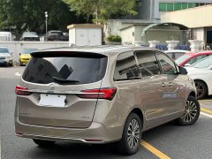 Buick GL8 Land Executive Cabin 652T Luxury - ფოტო 9
