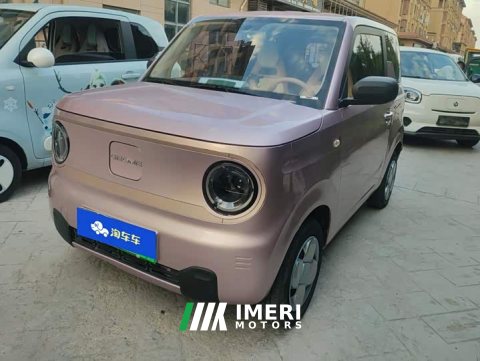 2024 Geely Panda 2023 Panda Mini 200km Endurance Edition - ავტომობილი ჩინეთიდან