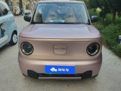 Geely Panda 2023 Panda Mini 200km Endurance Edition - ფოტო 2
