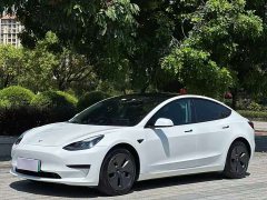 Tesla Model 3 Standard Range RWD Upgrade - ფოტო 1