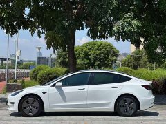 Tesla Model 3 Standard Range RWD Upgrade - ფოტო 14