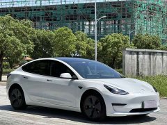 Tesla Model 3 Standard Range RWD Upgrade - ფოტო 3