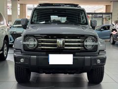 Tank 300 City Edition 2.0T Stylish - ფოტო 2