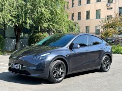 Tesla Model Y Rear-Wheel Drive - ფოტო 1