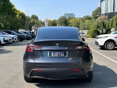 Tesla Model Y Rear-Wheel Drive - ფოტო 6