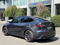 Tesla Model Y Rear-Wheel Drive - ფოტო 7